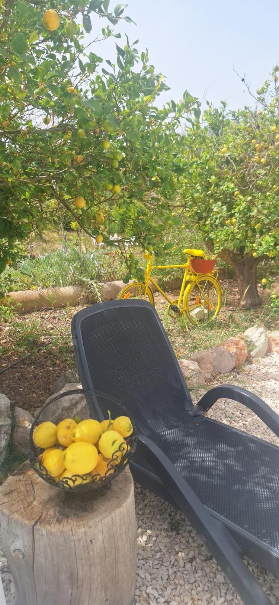 Finca Barahona Casa Barahona Casa Bahoruco, Casa Bohechio Altea Bilik gambar
