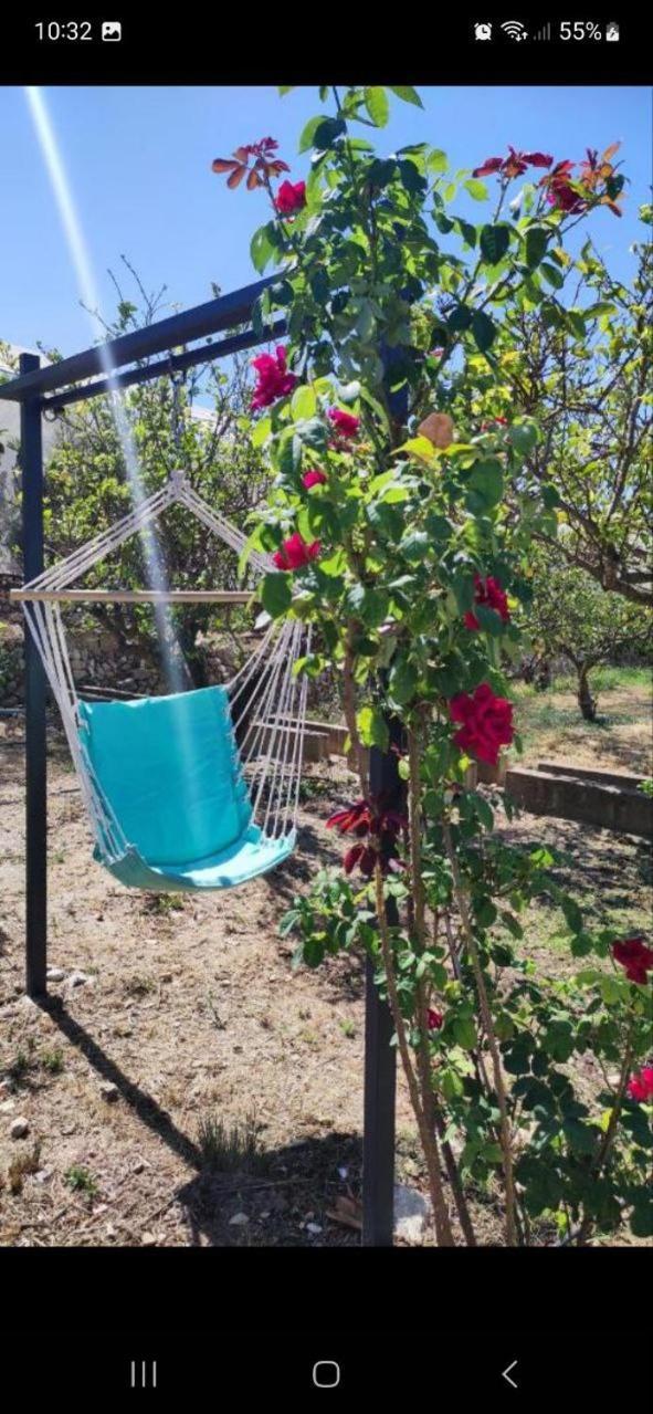 Finca Barahona Casa Barahona Casa Bahoruco, Casa Bohechio Altea Bilik gambar
