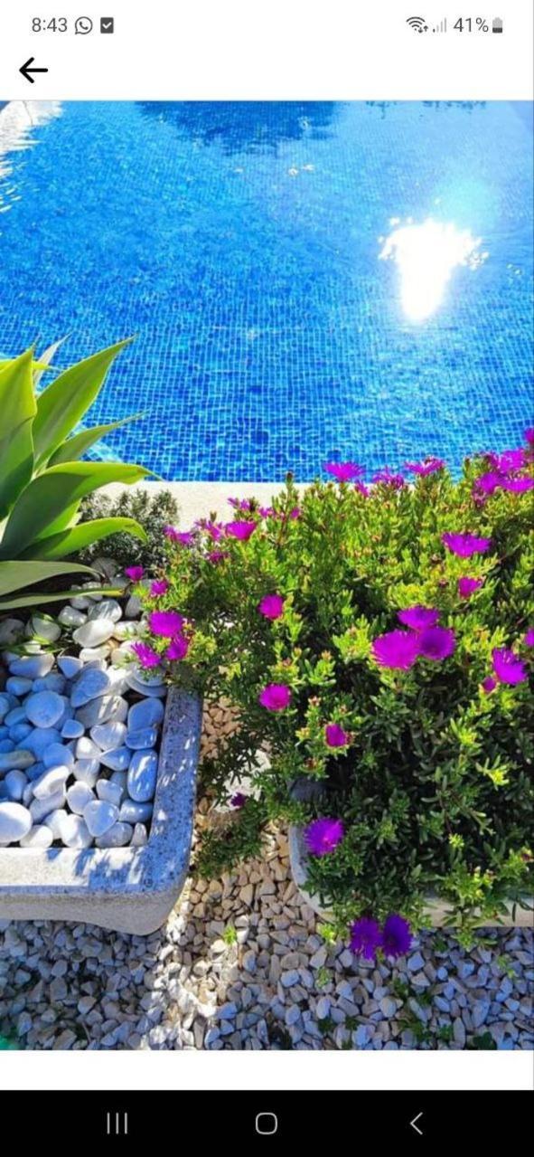 Finca Barahona Casa Barahona Casa Bahoruco, Casa Bohechio Altea Bilik gambar